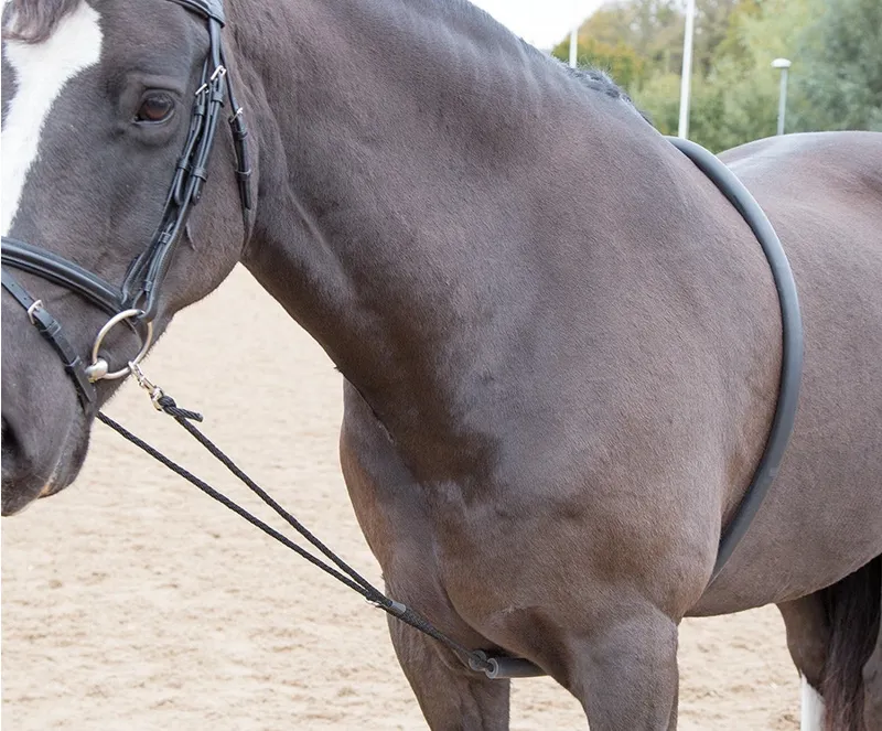 Shires Soft Lunging Aid in Black